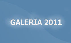 Galeria 2011